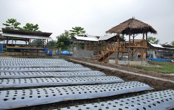 Televisi Nasional Garap Agrowisata Kampar